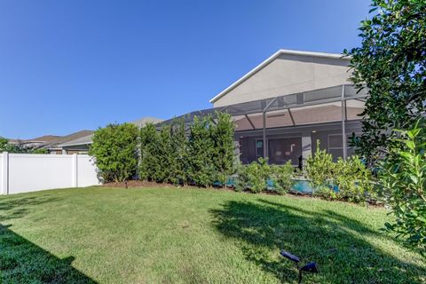 A home in WESLEY CHAPEL