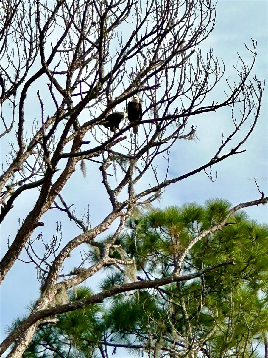 REST HAVEN SUB AMD - Residential