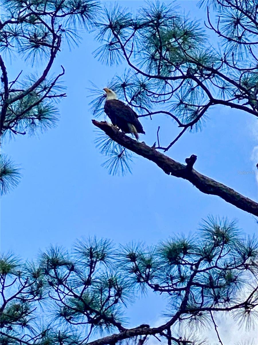 REST HAVEN SUB AMD - Residential