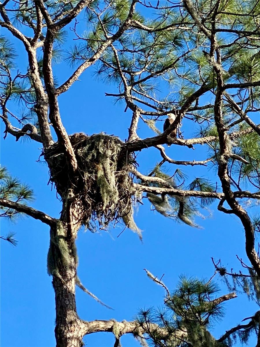 REST HAVEN SUB AMD - Residential