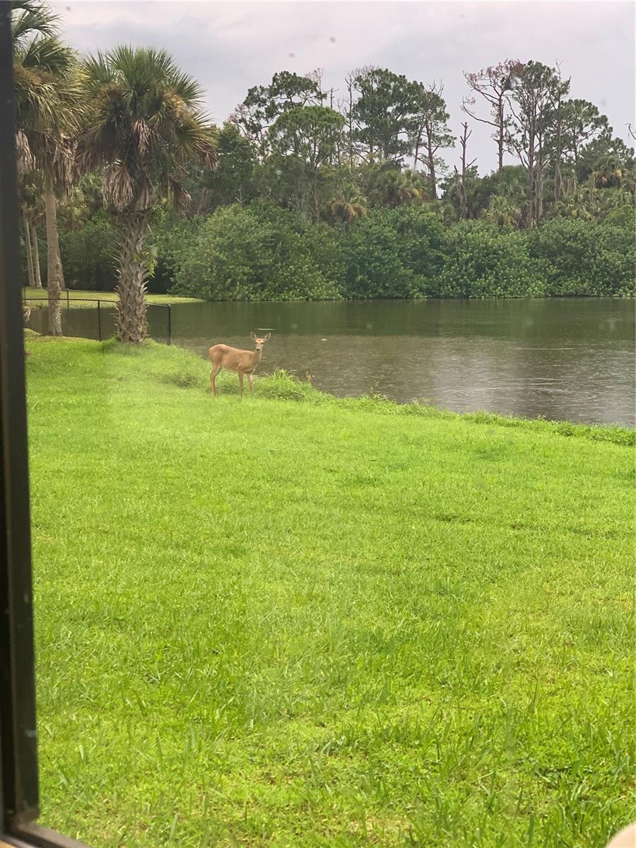 REST HAVEN SUB AMD - Residential