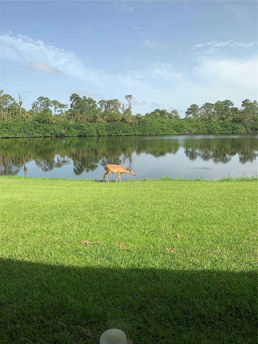 REST HAVEN SUB AMD - Residential