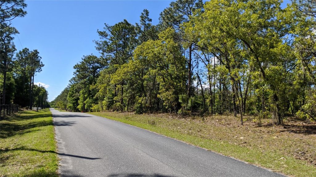 Photo of 0 SW 97th Place, Dunnellon, FL 34432 (MLS # TB8399604)