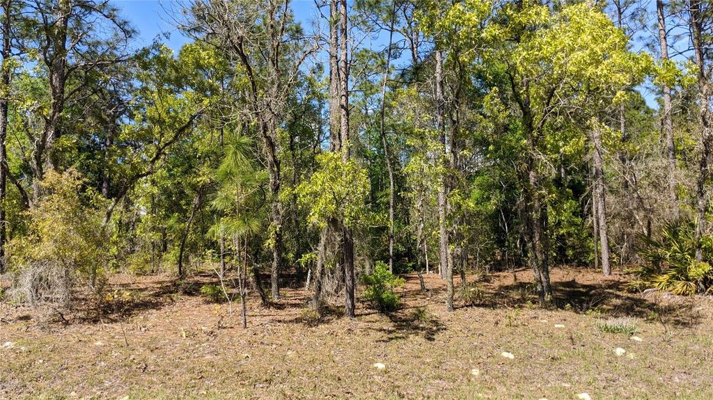 Photo of 0 SW 97th Place, Dunnellon, FL 34432 (MLS # TB8399604)
