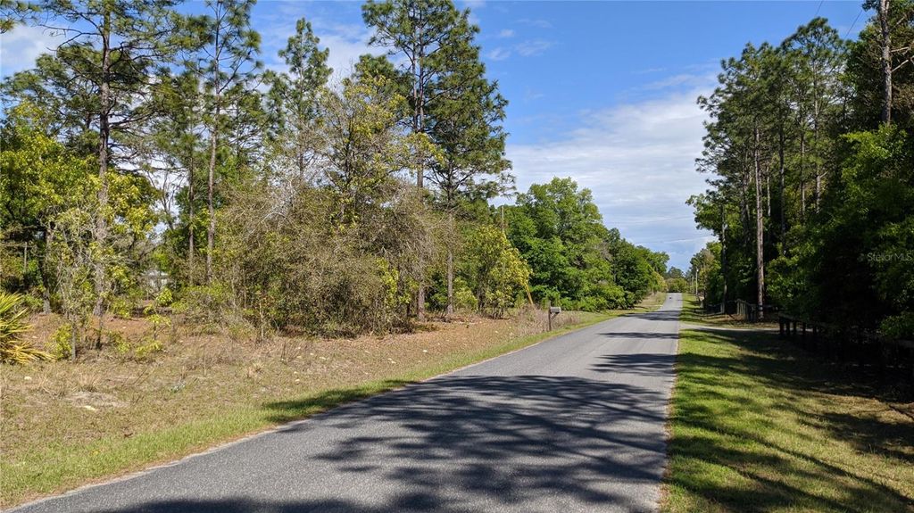 Photo of 0 SW 97th Place, Dunnellon, FL 34432 (MLS # TB8399604)
