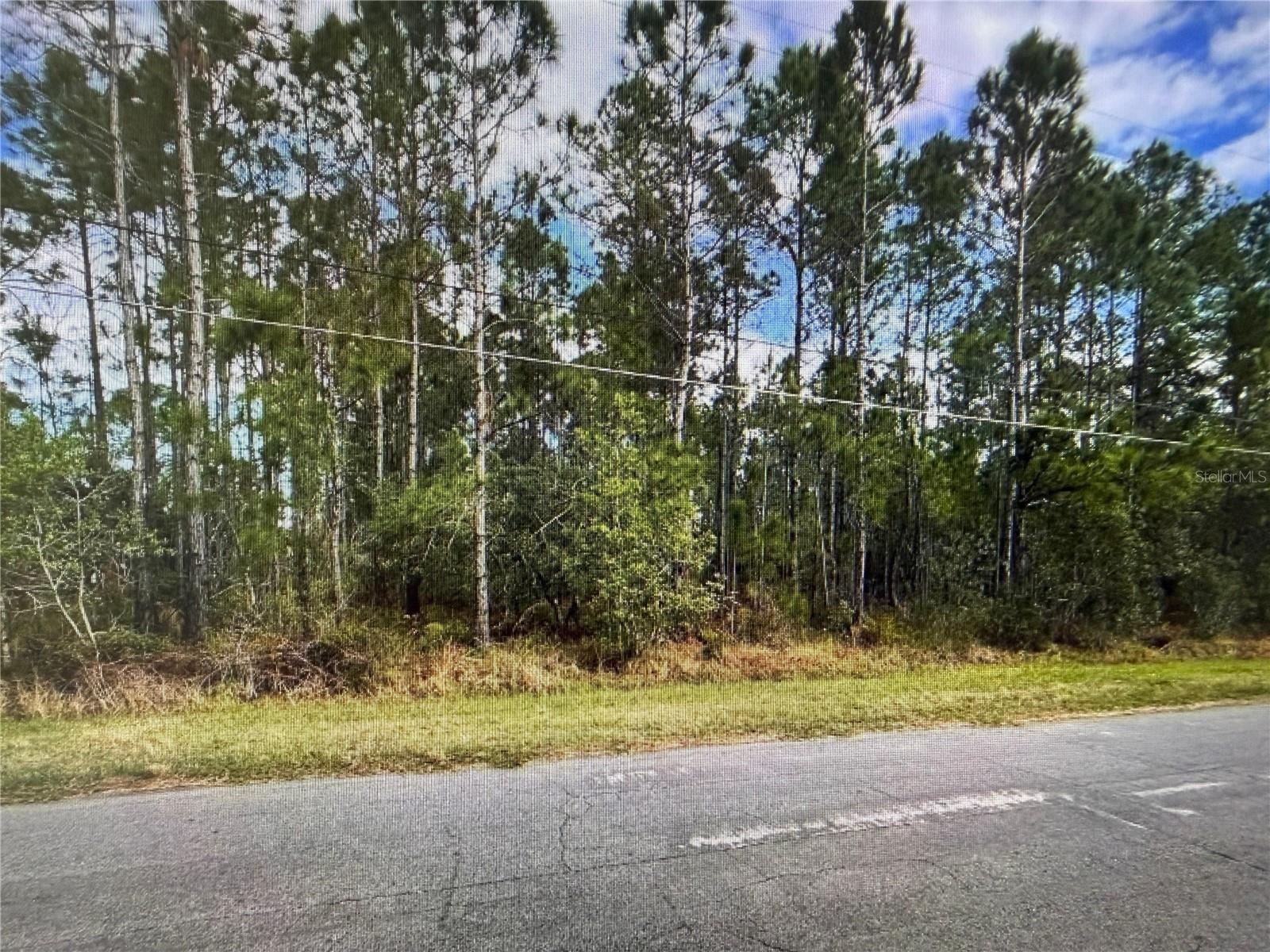 CAPE ORLANDO ESTATES - Land