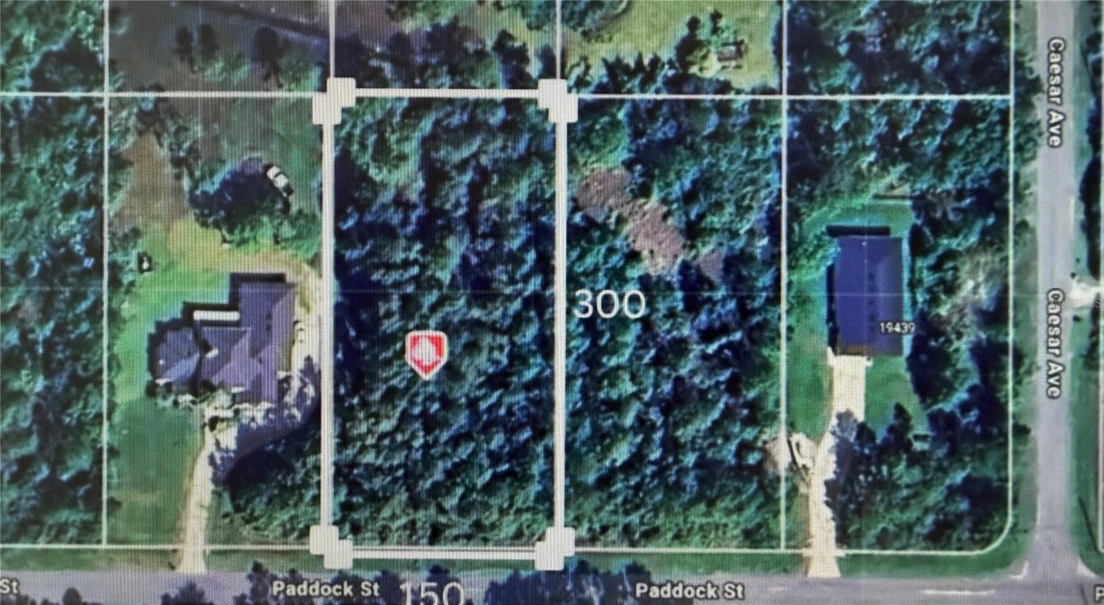 CAPE ORLANDO ESTATES - Land