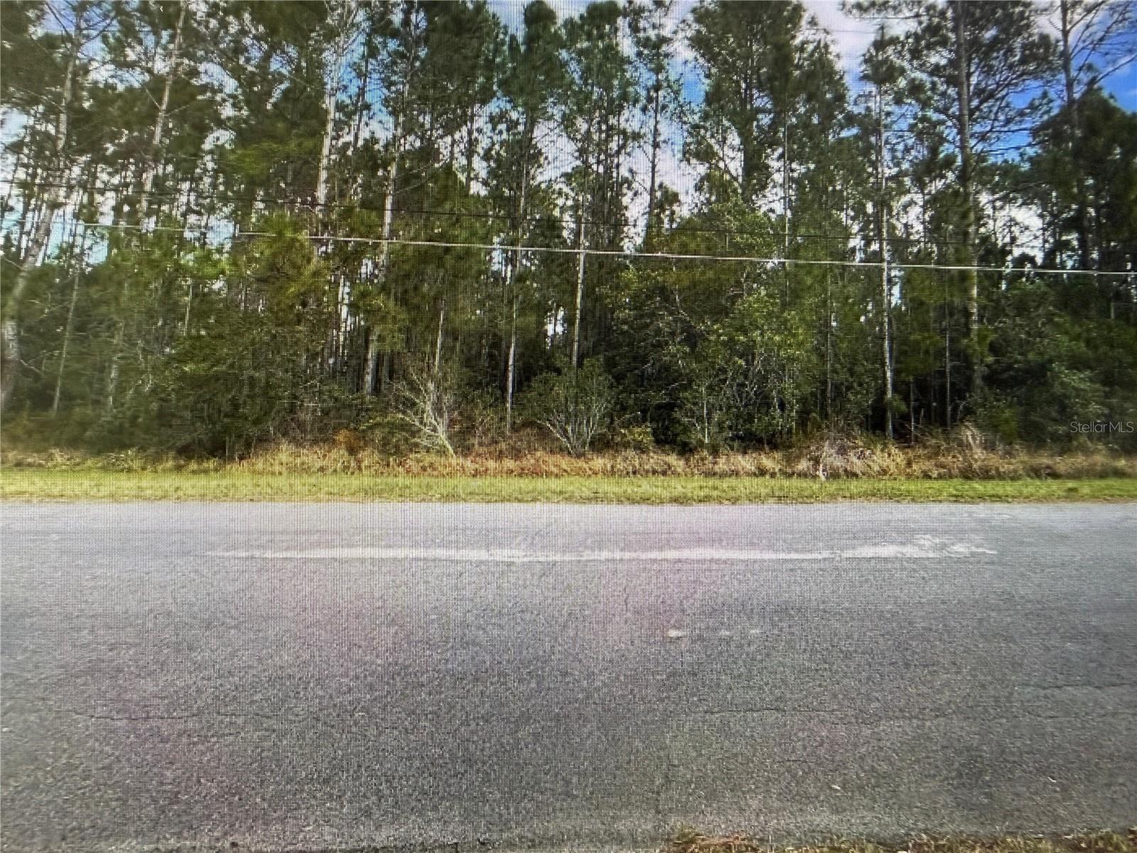 CAPE ORLANDO ESTATES - Land