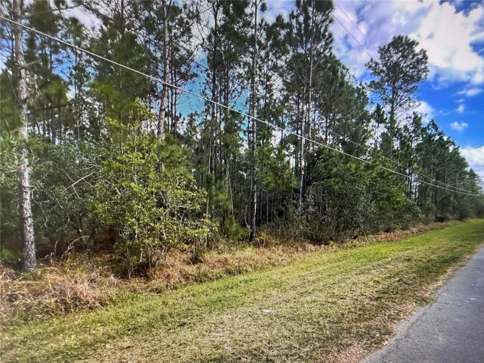 CAPE ORLANDO ESTATES - Land