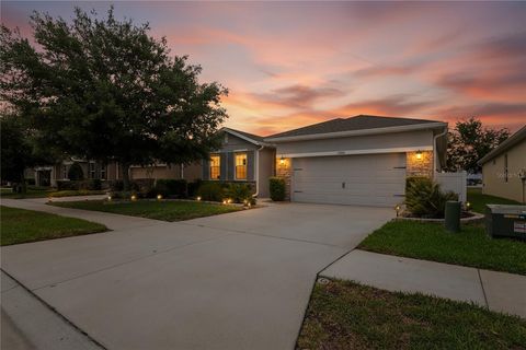 Photo of 13605 Paddington Way, Spring Hill, FL 34609 (MLS # W7885306)