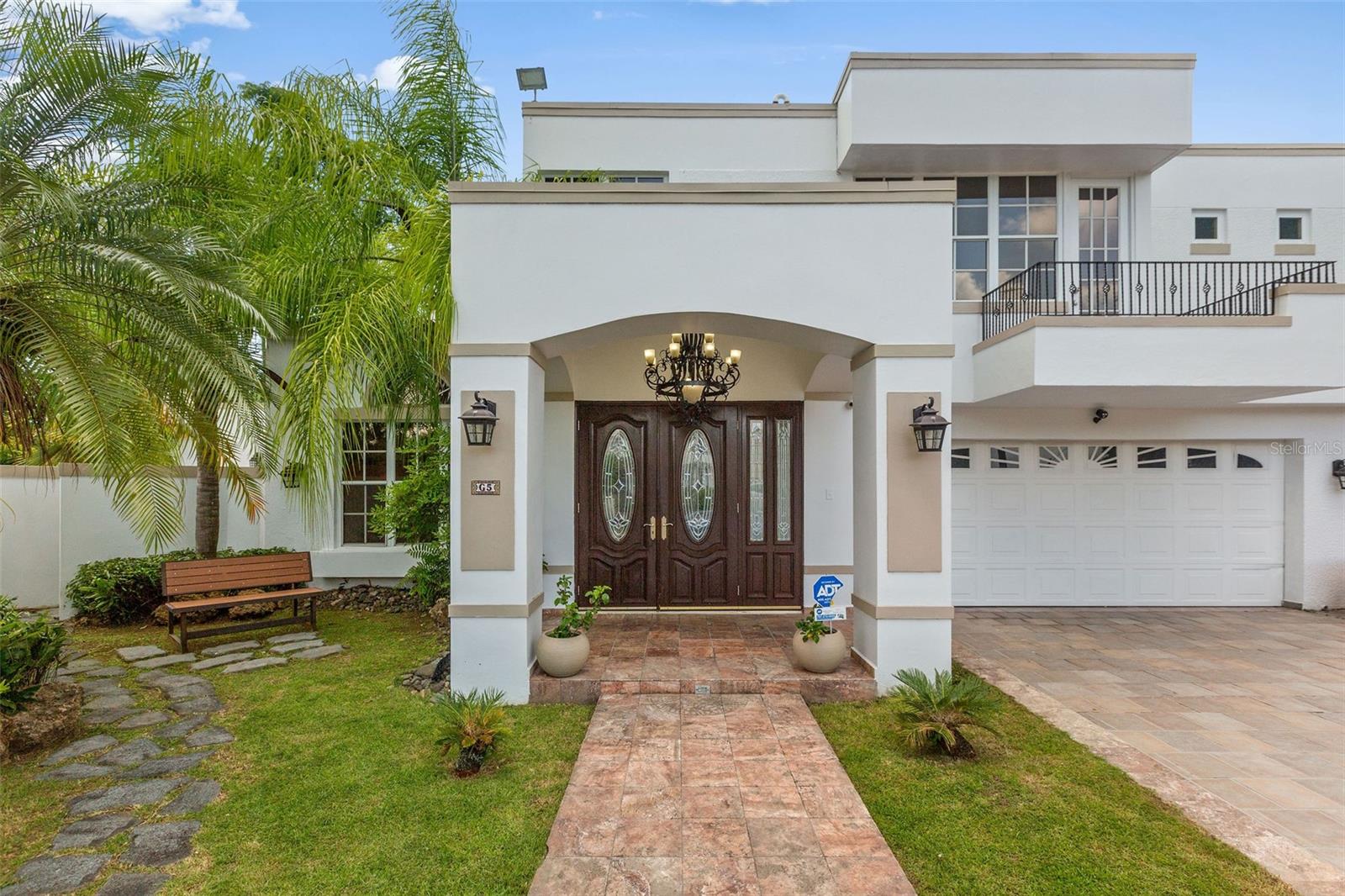 Palma Real PALMA DE COCO