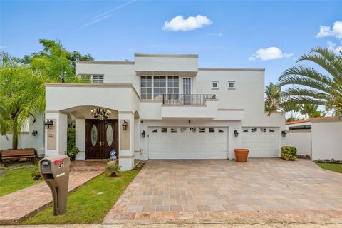 Palma Real PALMA DE COCO GUAYNABO  00966