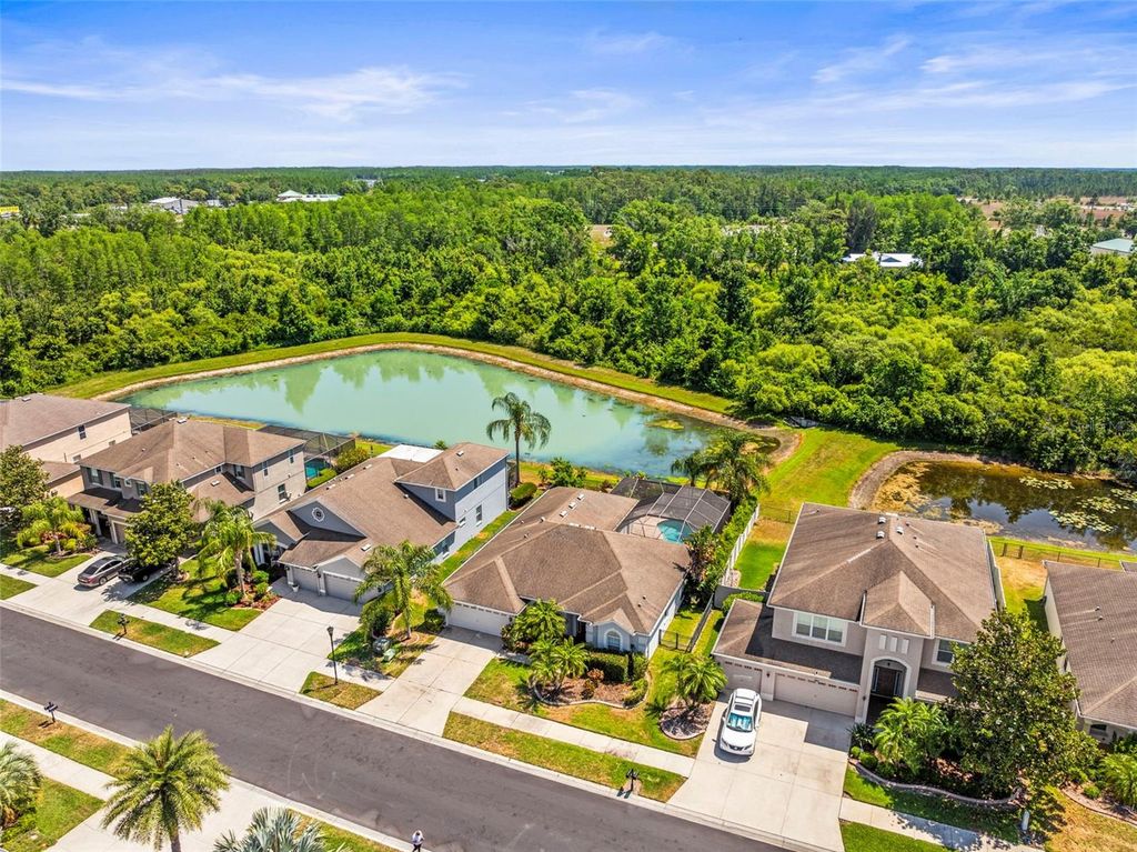 Photo of 9632 Asbel Estates Street, Land O Lakes, FL 34638 (MLS # TB8378066)