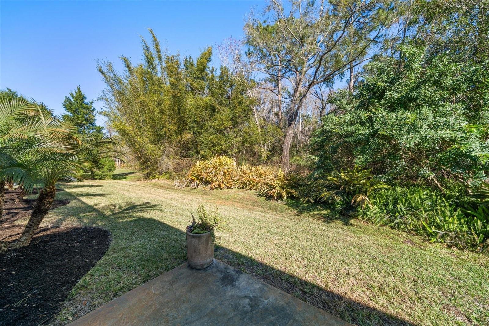 MOSS BRANCH ACRES - Residential