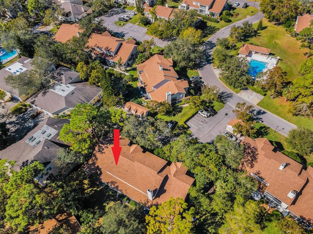 Photo of 2182 Clover Hill Road, Palm Harbor, FL 34683 (MLS # TB8441188)