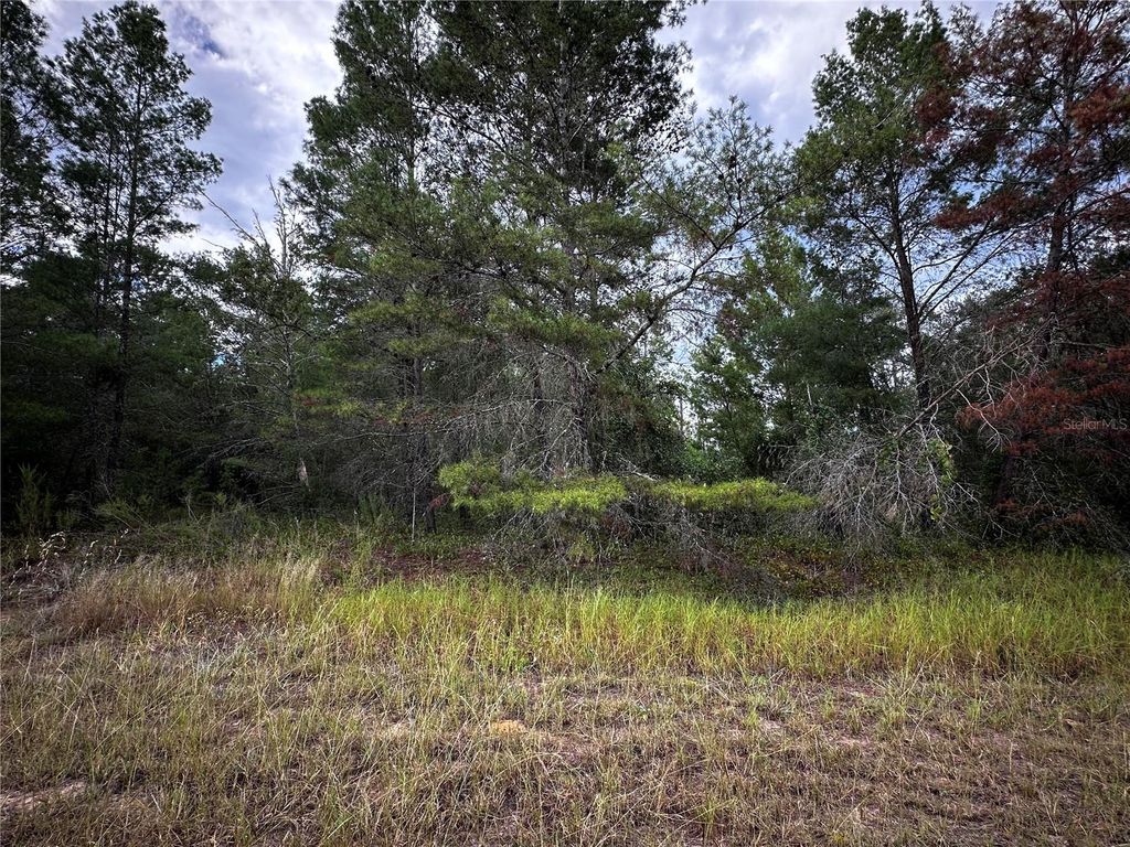 Photo of Lot 25 Fisher Run, Ocklawaha, FL 32179 (MLS # O6347039)