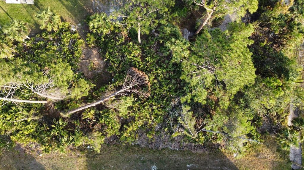 Photo of Sparkle Lane, North Port, FL 34286 (MLS # C7507469)