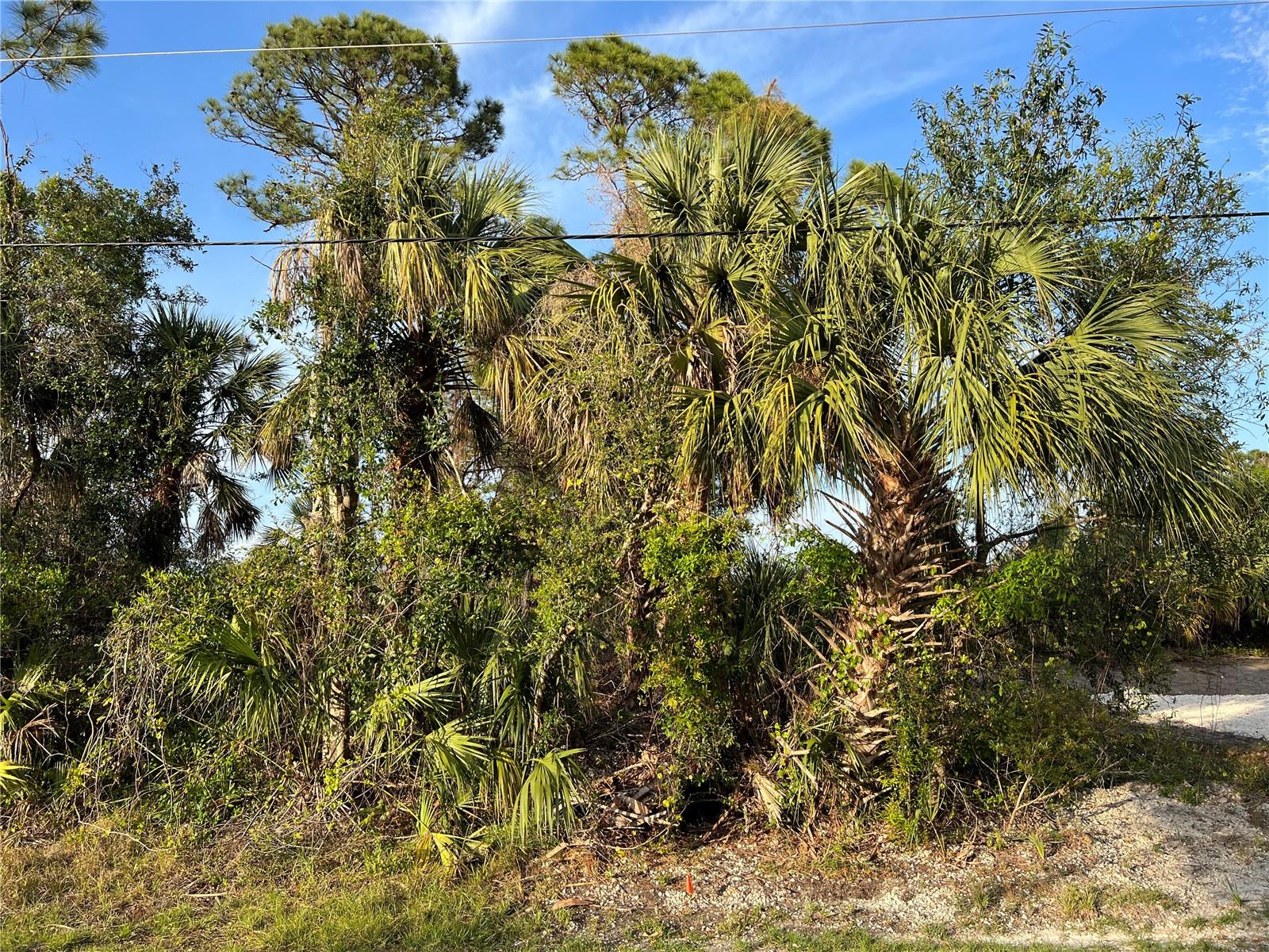 PORT CHARLOTTE SUB 08 - Land