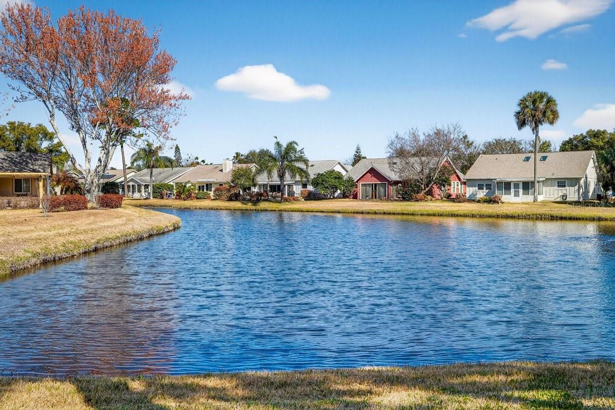 PINE ISLAND PH 01 REP - Residential