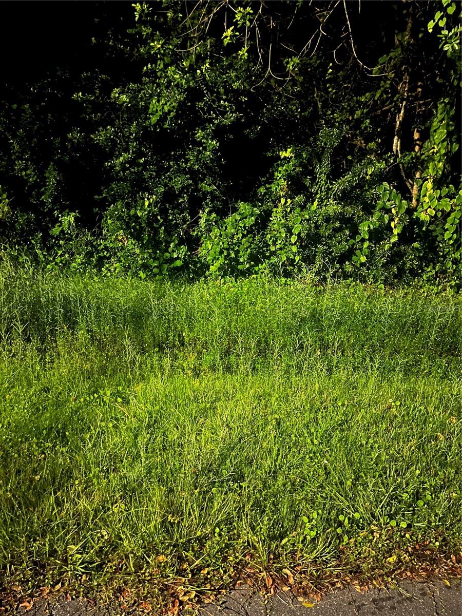 This is the ideal lot for your new Home in a mature neighborhood. It is located between two existing homes.
