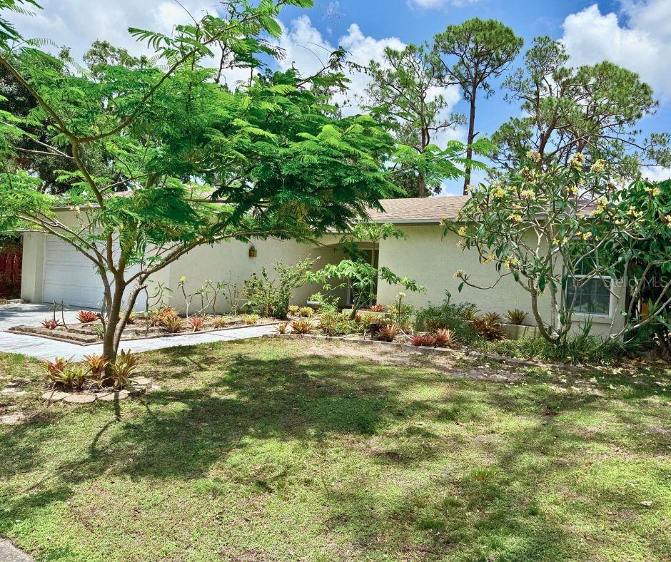 1805 SPRINGWOOD DRIVE