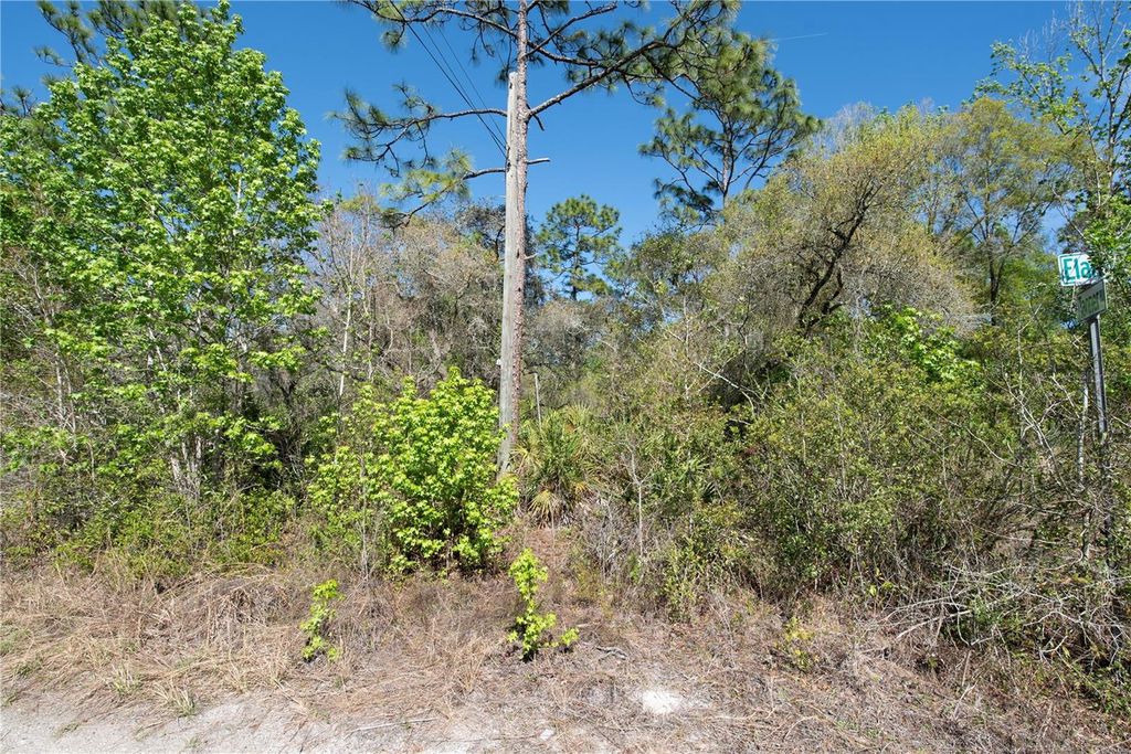 Photo of 12934 Tanner Road, New Port Richey, FL 34654 (MLS # TB8482509)