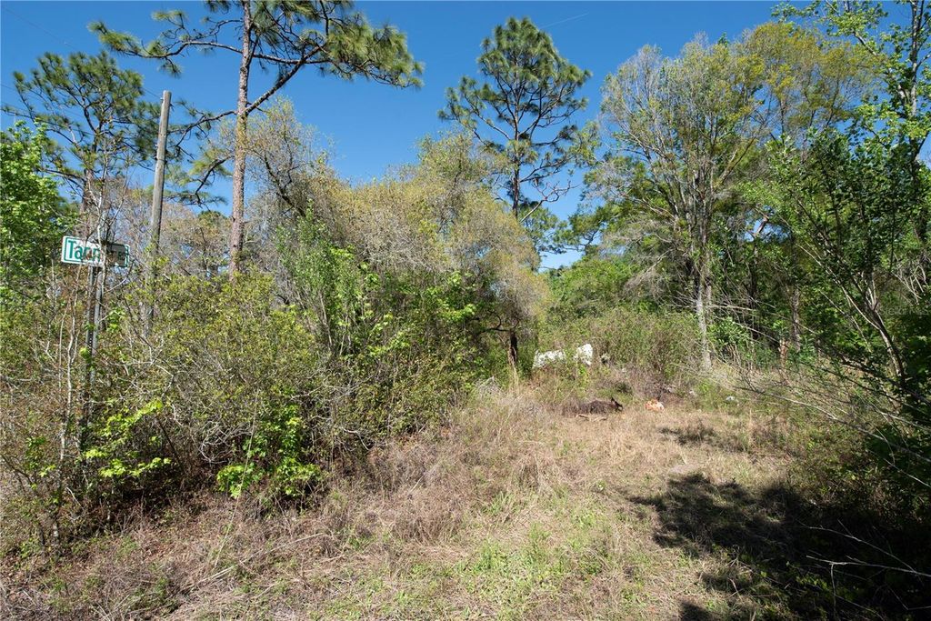 Photo of 12934 Tanner Road, New Port Richey, FL 34654 (MLS # TB8482509)