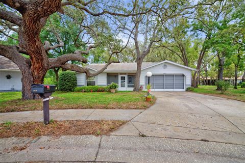 8619 GOLD PINE DRIVE PORT RICHEY FL 34668