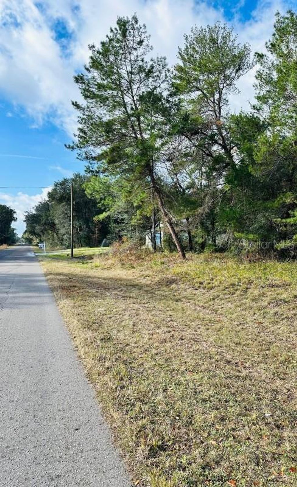 Photo of SE 141st Avenue, Ocklawaha, FL 32179 (MLS # A4676127)