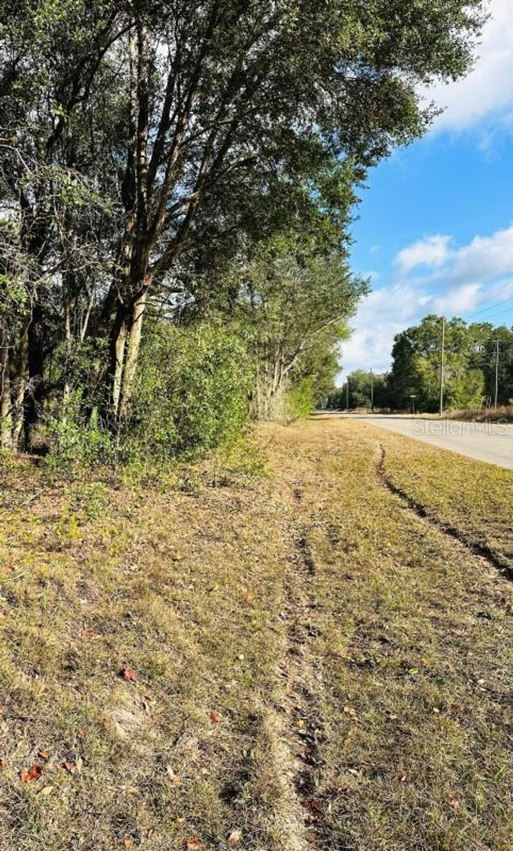 Photo of SE 141st Avenue, Ocklawaha, FL 32179 (MLS # A4676127)