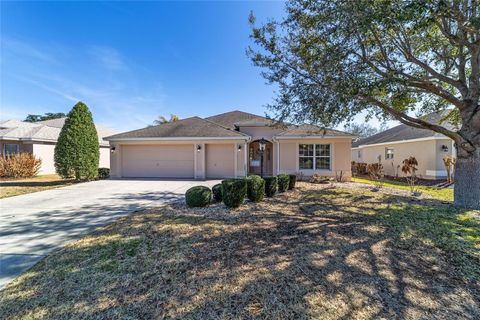 Photo of 2449 Heath Springs Drive, The Villages, FL 32162 (MLS # OM718956)