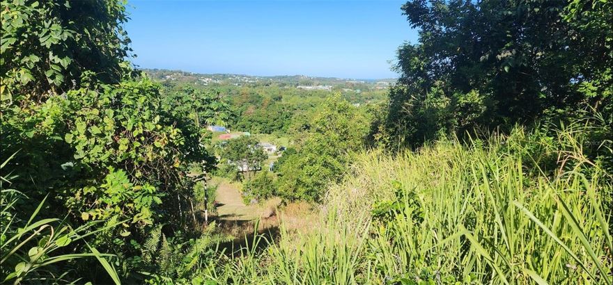 Spacious land located on Carr. 417, Km. 4 Interior, Bo. Marías, Aguada. It features a beautiful view of the town of Aguada. It has many possibilities for building the house of your dreams or any structure you desire.