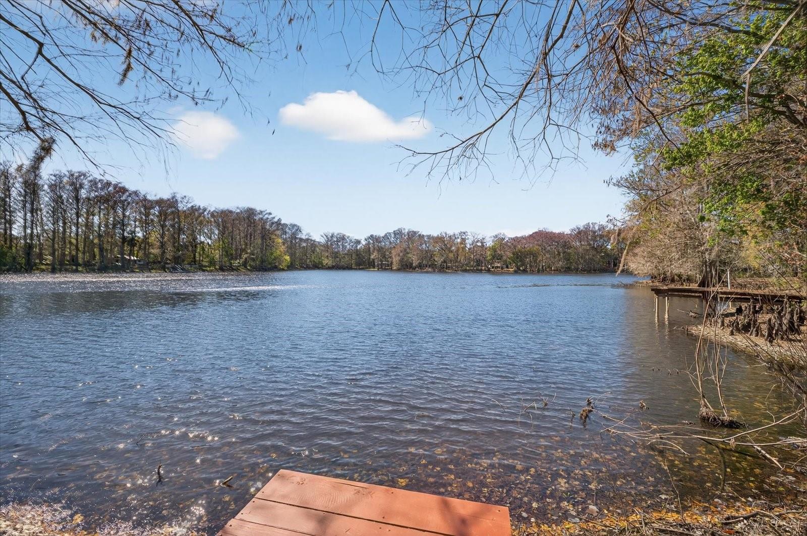 BASS LAKE ESTATES - Residential