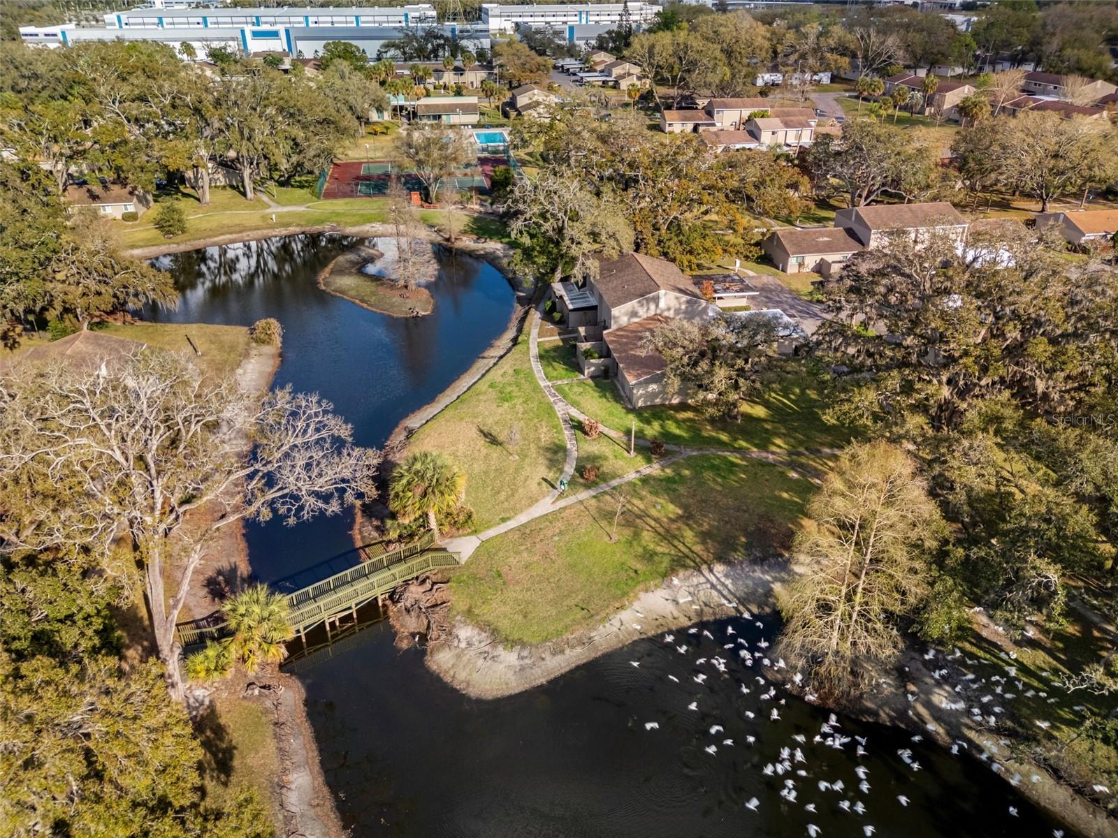 MEADOWOOD CONDO VILLAGE - Residential