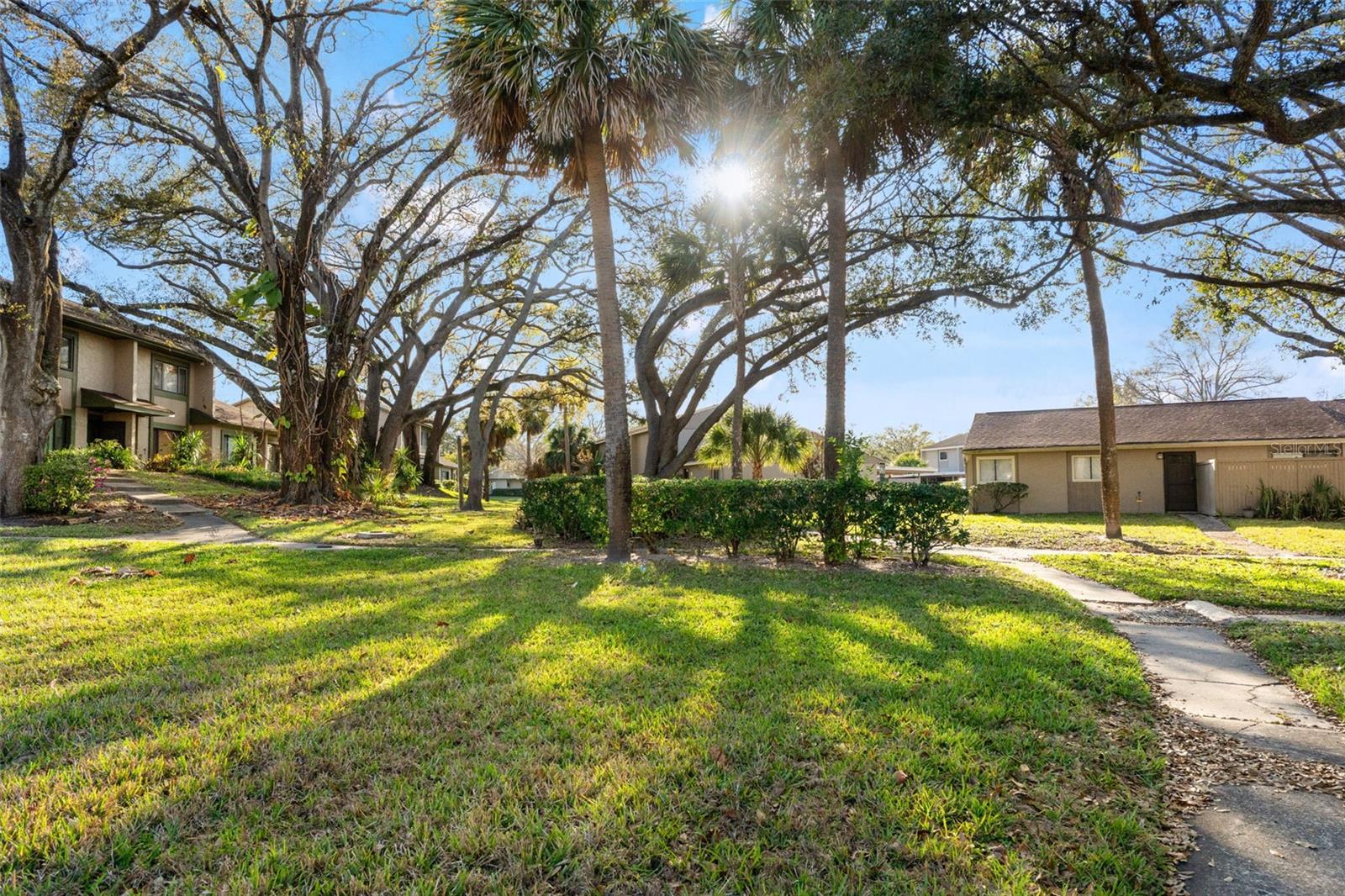 MEADOWOOD CONDO VILLAGE - Residential