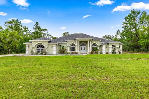 Photo of 8628 N Iberian Drive, Citrus Springs, FL 34433 (MLS # OM703419)