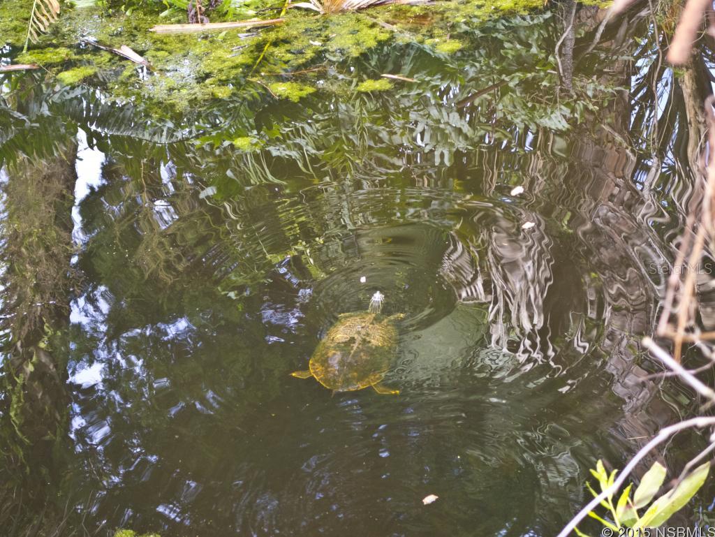 Fairgreen Unit 01A - Residential