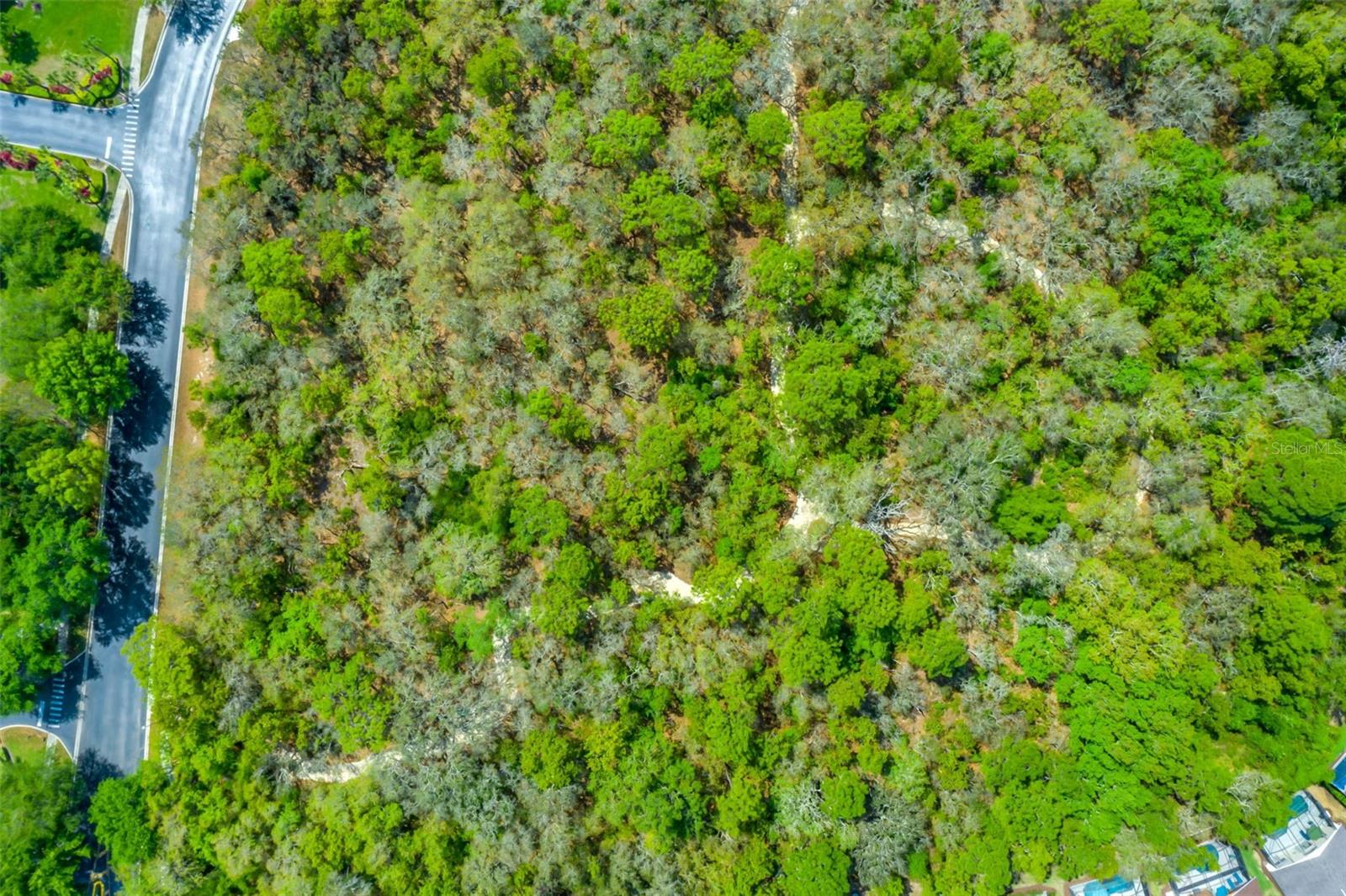 EMERALD ISLAND RESORT - Residential