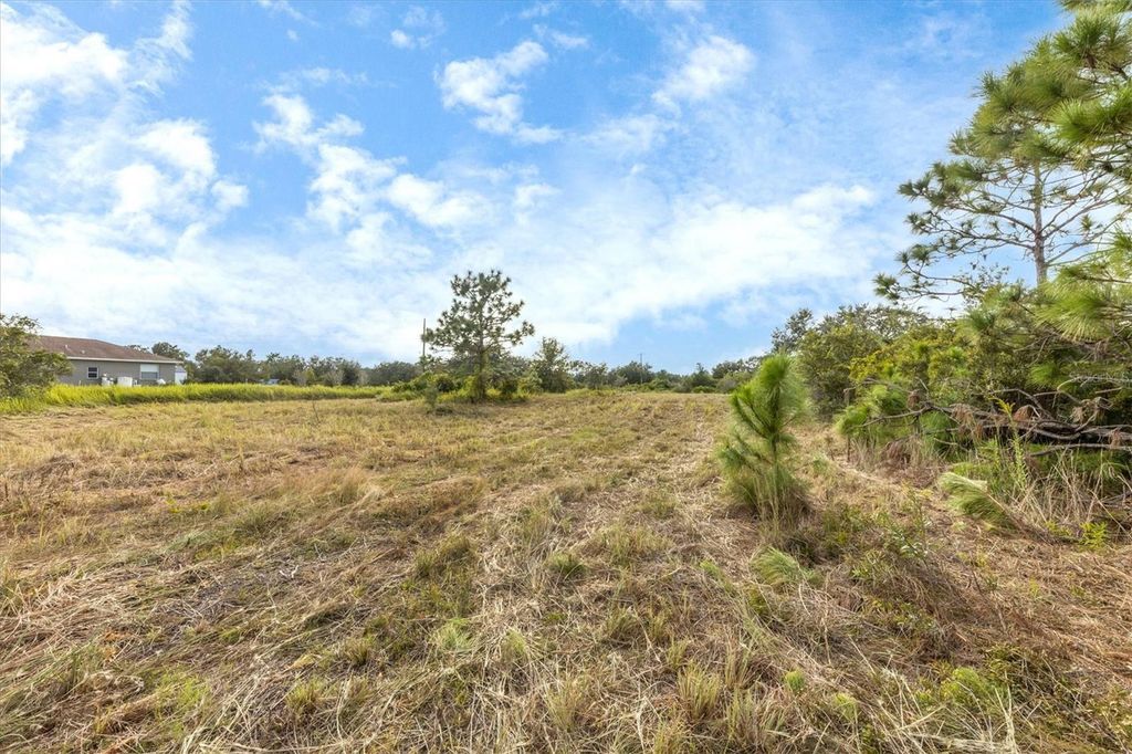 Photo of 7820 235th Street E, Myakka City, FL 34251 (MLS # A4639591)