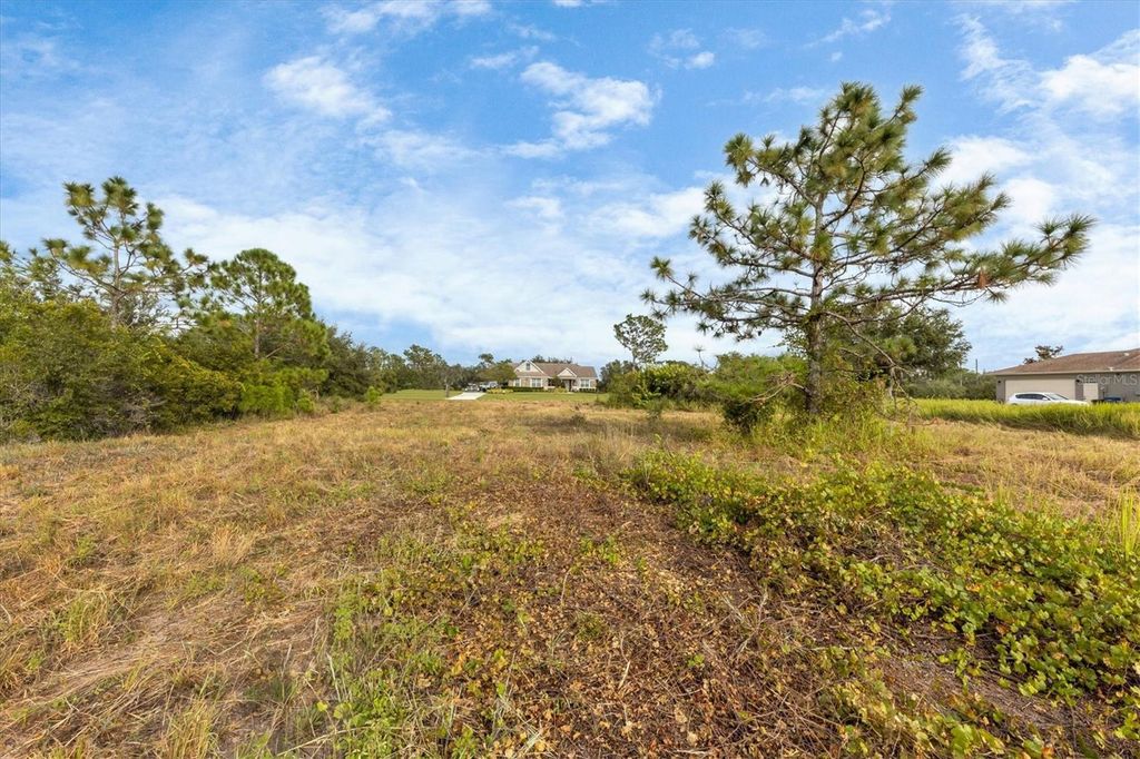Photo of 7820 235th Street E, Myakka City, FL 34251 (MLS # A4639591)