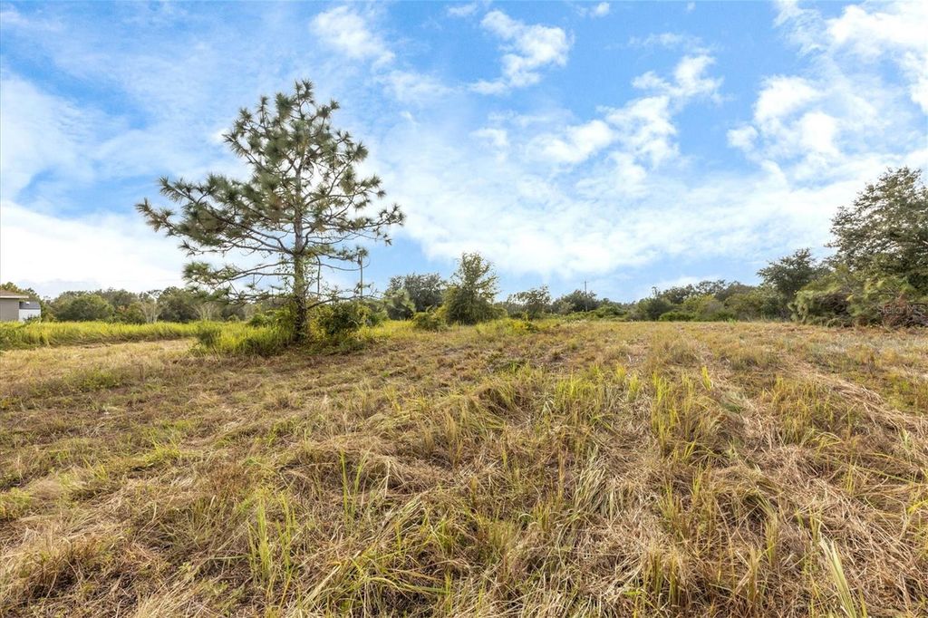 Photo of 7820 235th Street E, Myakka City, FL 34251 (MLS # A4639591)