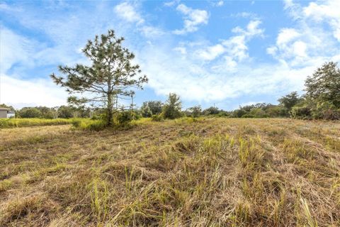 Photo of 7820 235th Street E, Myakka City, FL 34251 (MLS # A4639591)