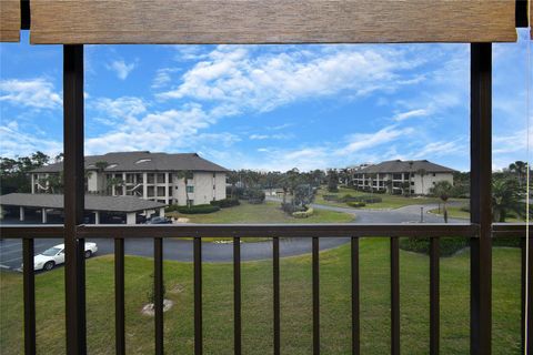 A home in PUNTA GORDA