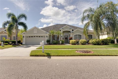 A home in RIVERVIEW