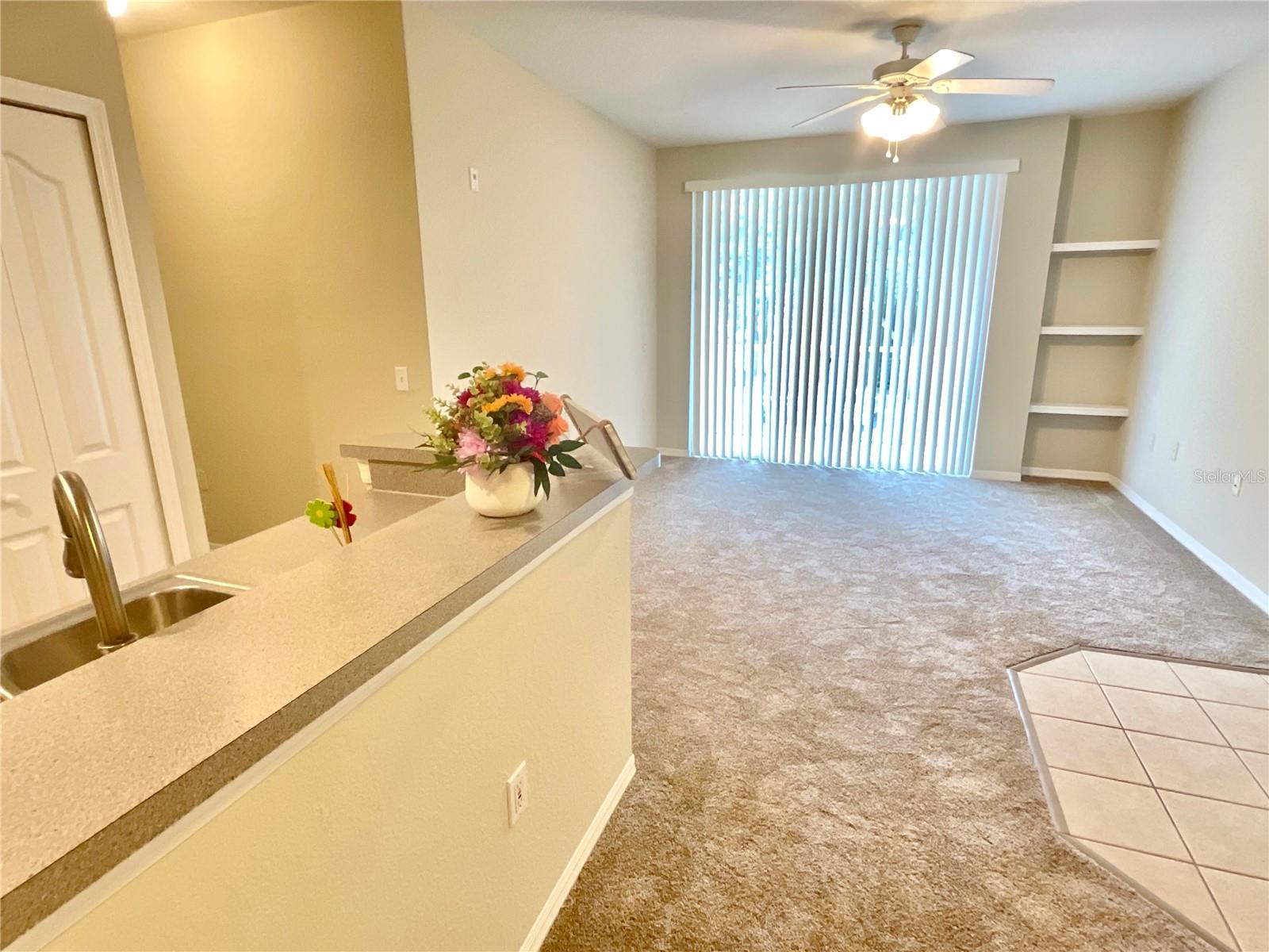1375 LAKE SHADOW CIRCLE 11203