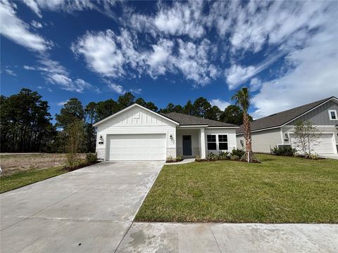 41 PERSEUS AVENUE FLAGLER BEACH FL 32136