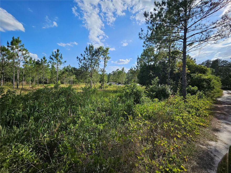 If you're seeking a serene lifestyle, this 0.93-acre land for sale in Clermont's rural area is a great opportunity. Zoned for residential use, it's ideal for building your dream home or placing a mobile/manufactured home. Relish the peace and quiet of the countryside, free from HOA restrictions.