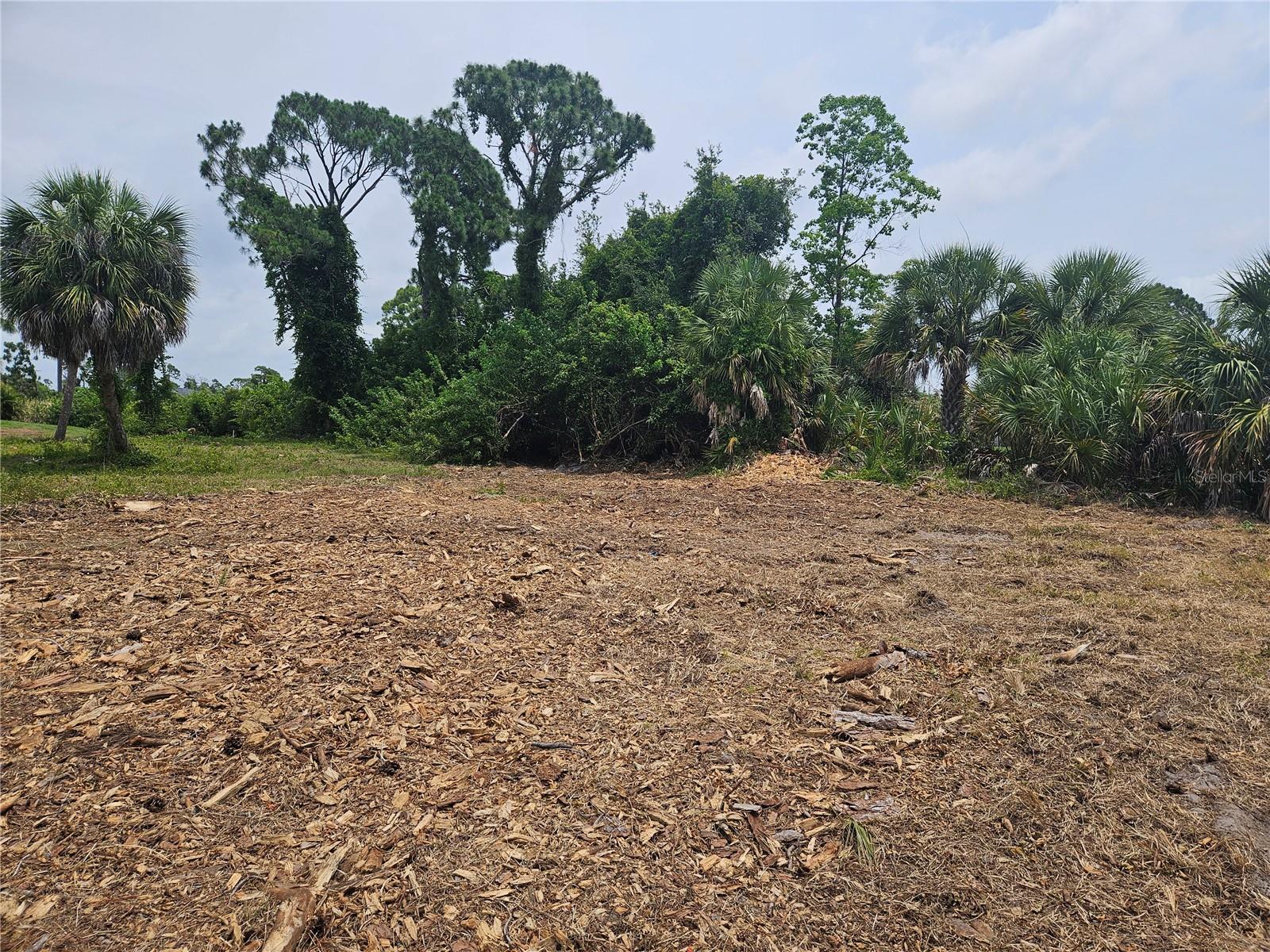 ROTONDA WEST PINE VALLEY - Land