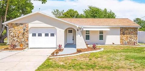 A home in SPRING HILL