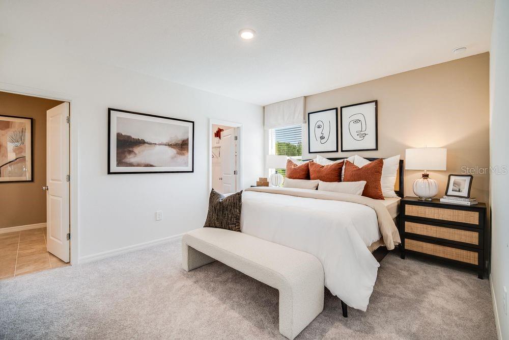 PALM WIND - Residential